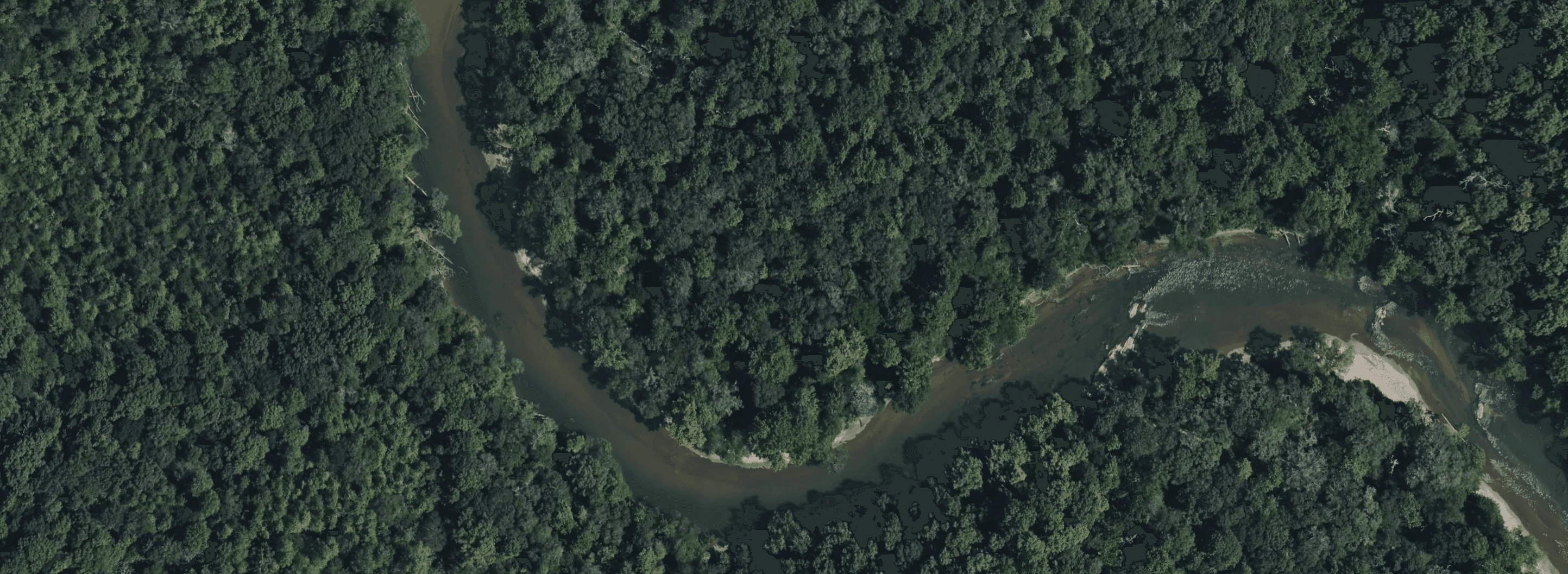 Expansive forested freshwater reservoir with winding coves and islands.