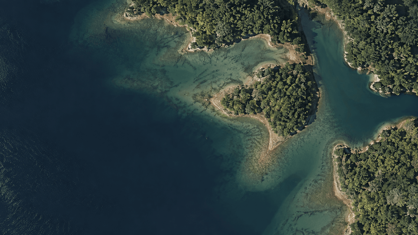 Aerial view of freshwater structure, shoreline contours, coves, and deeper channels.